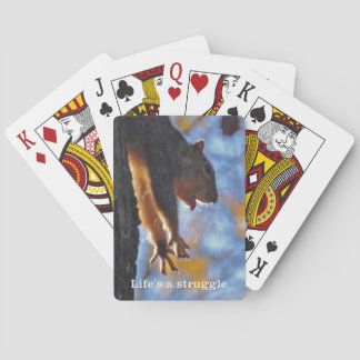 Stretching Squirrel 2 Playing Cards