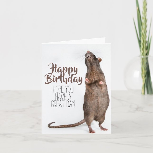 Stretchy Rat Birthday Card (Front)