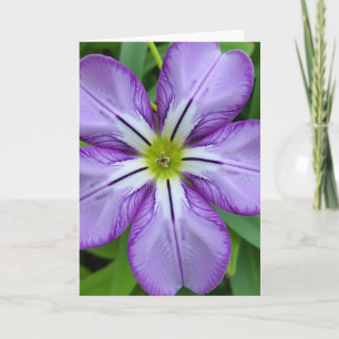 Striated Bloom Mothers Day Card