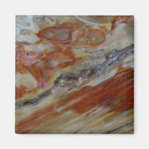 Striated Petrified Wood Magnet