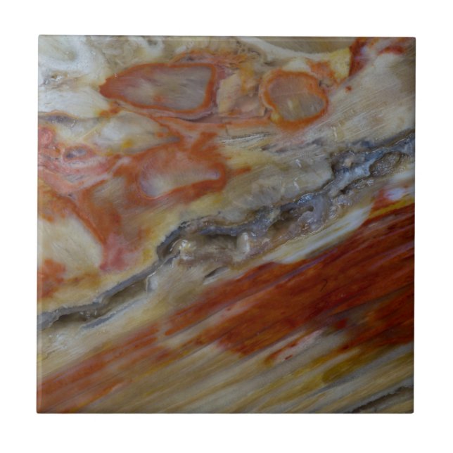 Striated Petrified Wood Tile (Front)