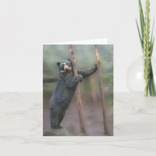 Strike a Pose - Bubu Notecard