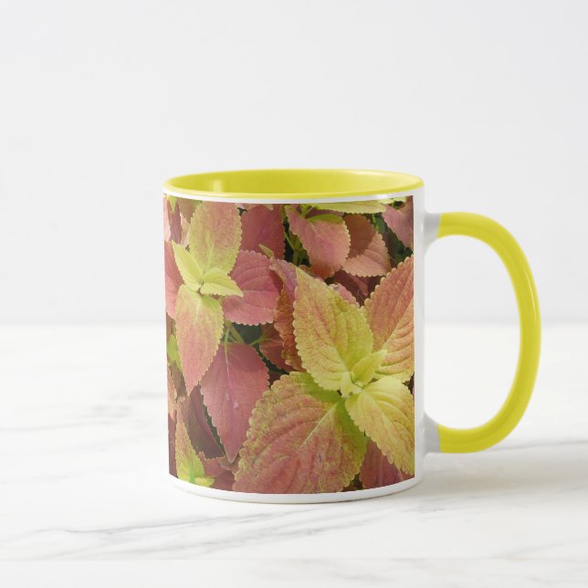 Striking Coleus Leaves Mug (Right)