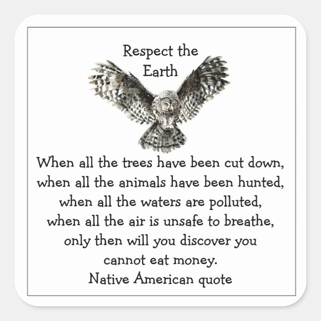 Striking Owl Respect the Earth Native American Square Sticker (Front)