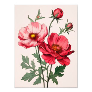 Striking Pink and Red Poppies Painting Photo Print