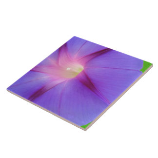 Striking Purple Floral Tile