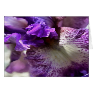 Striking Purple, Violet and Mauve Iris Abstract