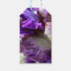 Striking Purple, Violet and Mauve Iris Abstract Gift Tags