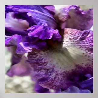 Striking Purple, Violet and Mauve Iris Abstract Poster