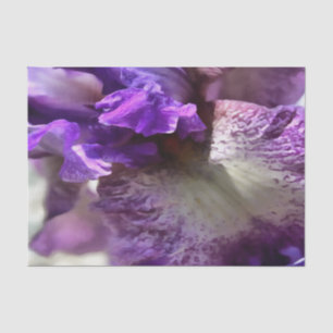 Striking Purple, Violet and Mauve Iris Abstract Tissue Paper