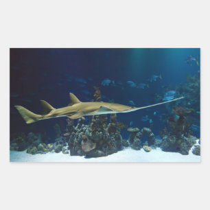 Striking Sawfish Rectangular Sticker
