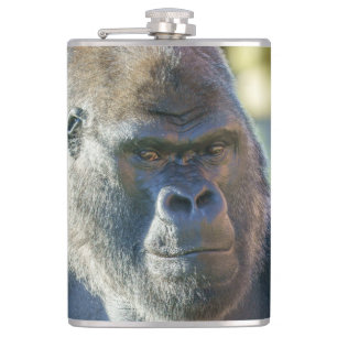 Striking Silverback Coffee Hip Flask