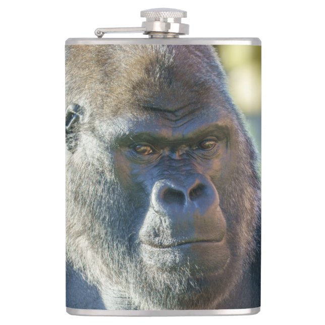 Striking Silverback Coffee Hip Flask (Front)