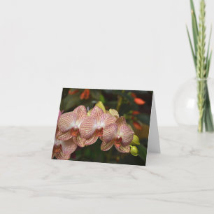 Striking String Of Orchids Note Card