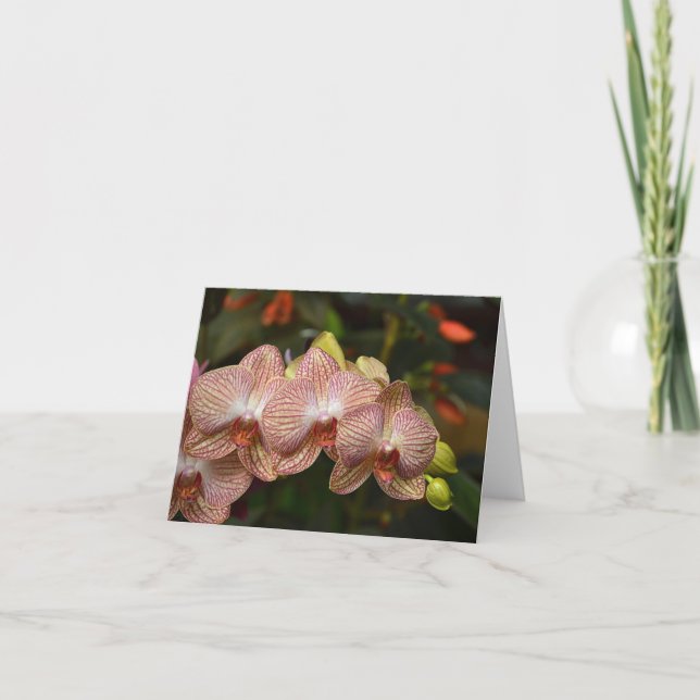 Striking String Of Orchids Note Card (Front)