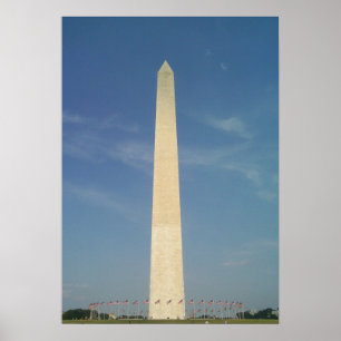 Striking Sun Contrast  Poster