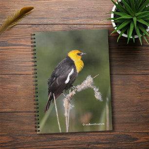 Striking Yellow-Headed Blackbird in the Marsh Spiral Notebook