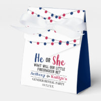 String Lights 4th Of July Gender Reveal Party