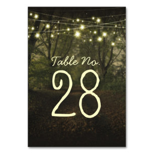 String lights tree path romantic table number card