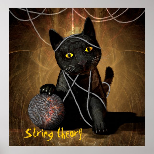 String theory poster (Front)