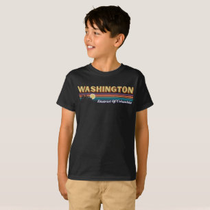 Stripe Washington DC Vintage Distressed Retro T-Shirt