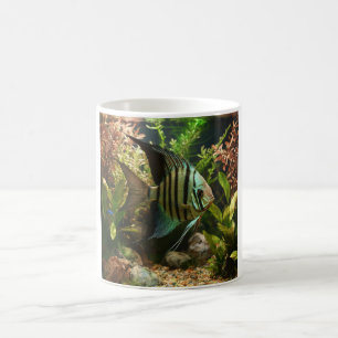 Striped altum angelfish coffee mug