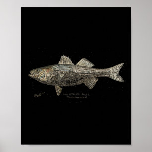 Striped B Fishing  Poster