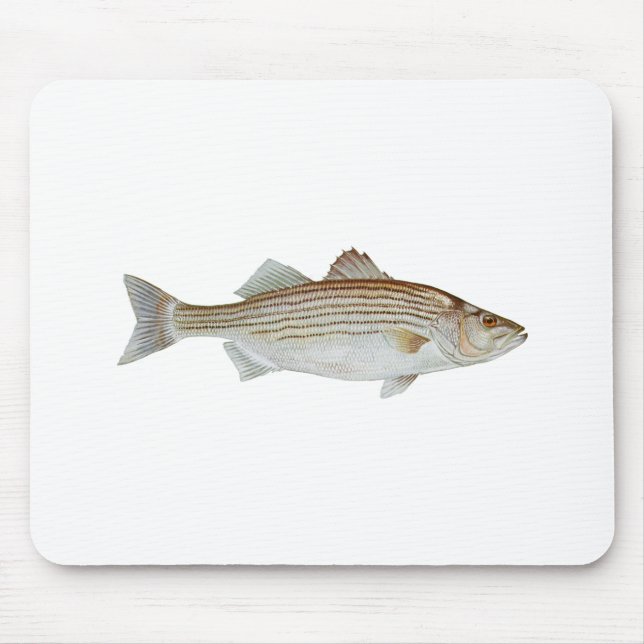 Striped Bass Art Mouse Pad (Front)