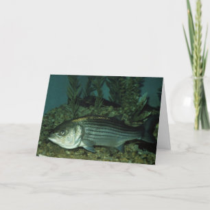 Striped Bass Card