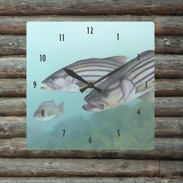 Striped bass fish illustration square wall clock (Creator Uploaded)