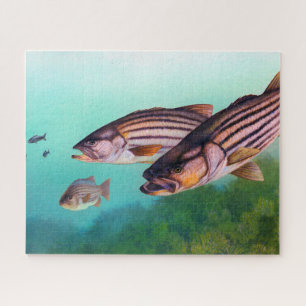 Striped Bass Jigsaw Puzzle
