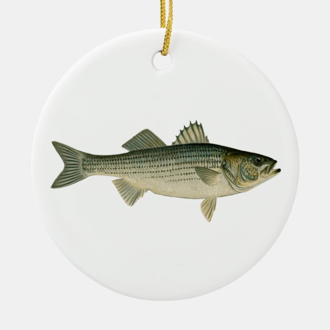 Striped Bass Logo Ceramic Tree Decoration (Front)