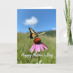 Striped Butterfly Bloom Card