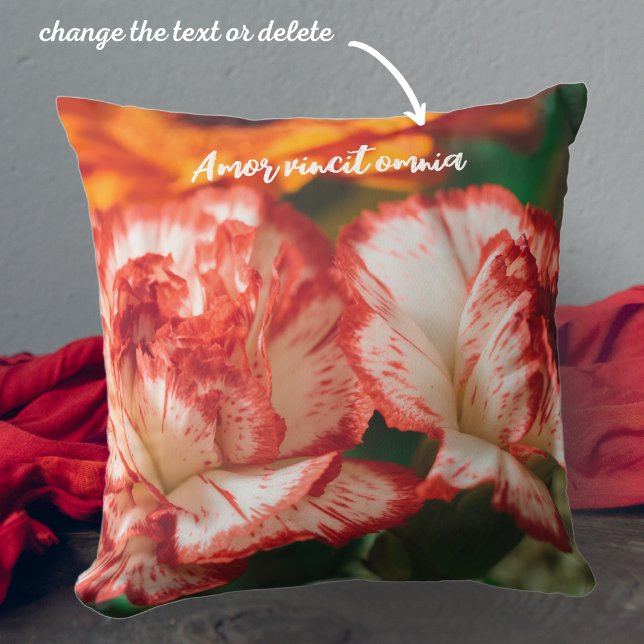 Striped carnations and gerbera cushion (Creator Uploaded)