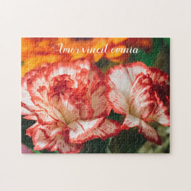 Striped carnations and gerbera jigsaw puzzle (Horizontal)