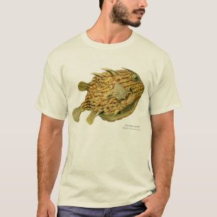 Striped cowfish T-Shirt