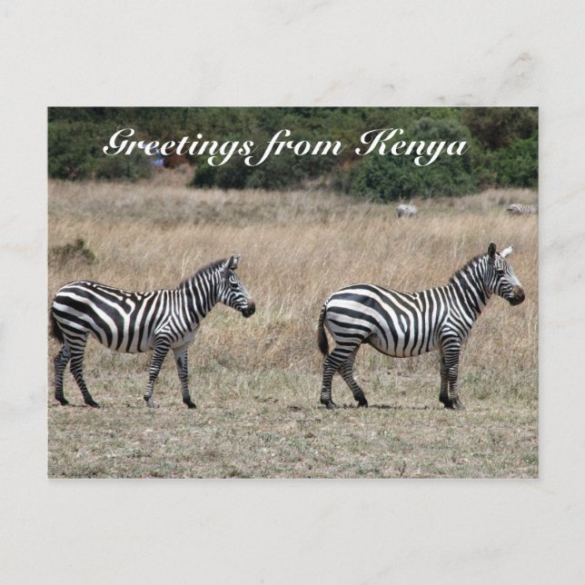 striped greetings postcard (Front)