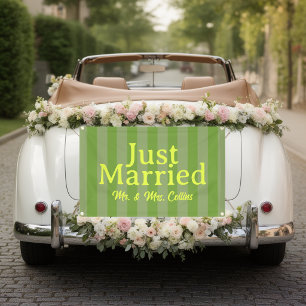 Striped Just Married Car Banner