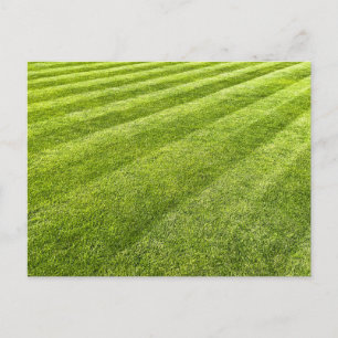 Striped Lawn Abstract Holiday Postcard