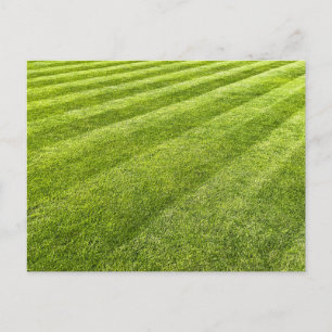 Striped Lawn Abstract Postcard