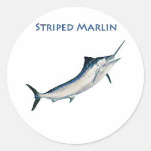 Striped Marlin (titled) Classic Round Sticker