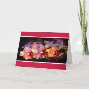 Striped orchid card