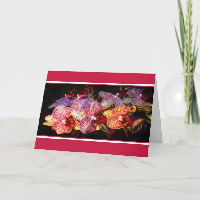 Striped orchid card (Front)