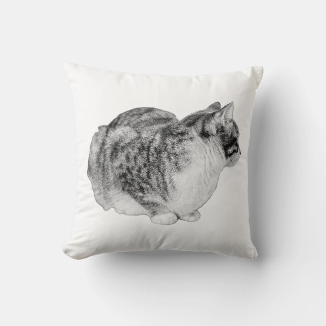 Striped Reflection Cushion (Front)