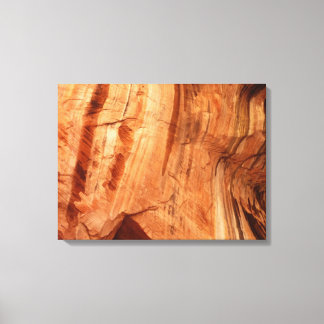 Striped Rock of Double Arch Alcove I from Zion Canvas Print