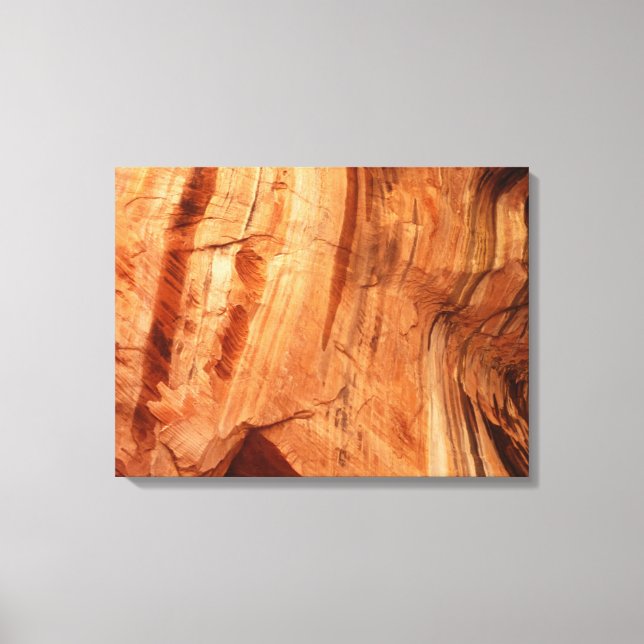 Striped Rock of Double Arch Alcove I from Zion Canvas Print (Front)