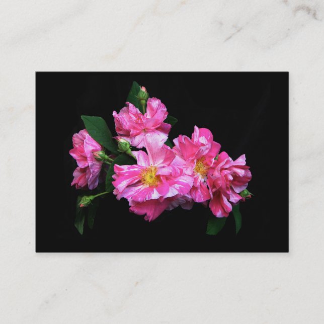 Striped Rose ATC Business Card (Front)