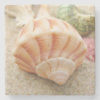 Striped Sea Shell Lightning Whelk