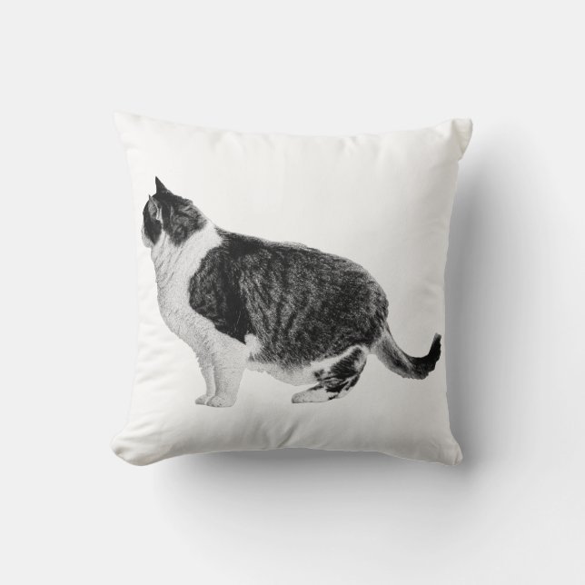 Striped Side, Cozy Corner Cushion (Front)