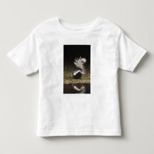 Striped Skunk, Mephitis mephitis Toddler T-Shirt